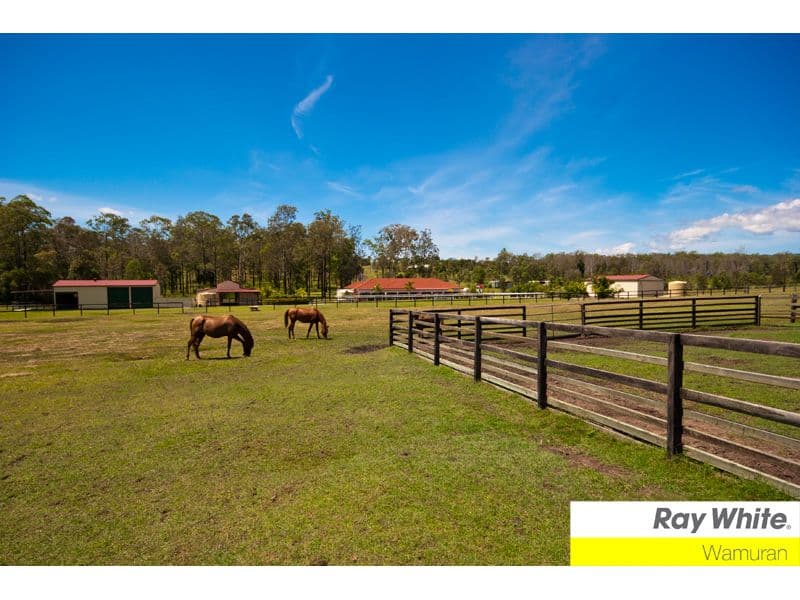 WOODFORD QLD 4514, Woodford - Thumbnail 8