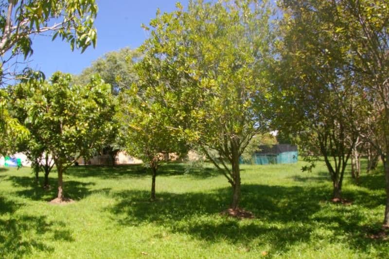 194 Facer Road, BURPENGARY QLD 4505, Burpengary - Thumbnail 7