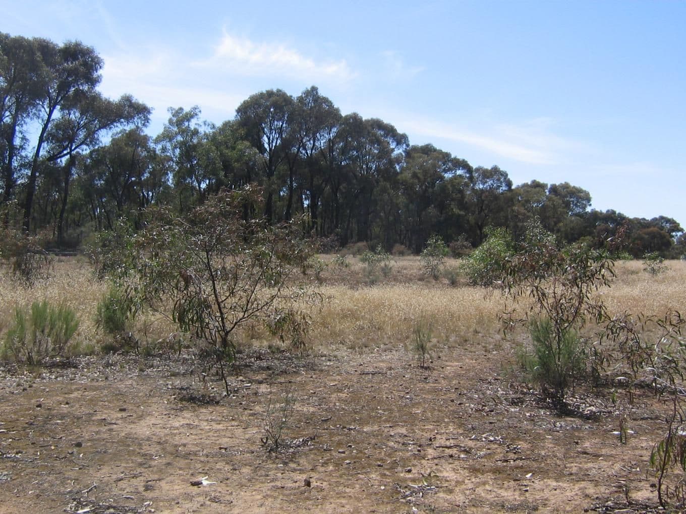 156 Whipstick Road, EAGLEHAWK VIC 3556, Eaglehawk - Image 1
