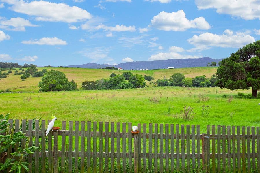 8 Wyalla Road, JAMBEROO NSW 2533, Jamberoo - Thumbnail 4