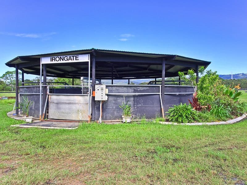 MAUDSLAND QLD 4210, Maudsland - Thumbnail 5