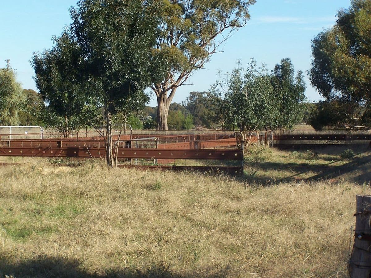 "Hyde Park" Morangarelll Road, TEMORA NSW 2666, Temora - Thumbnail 2
