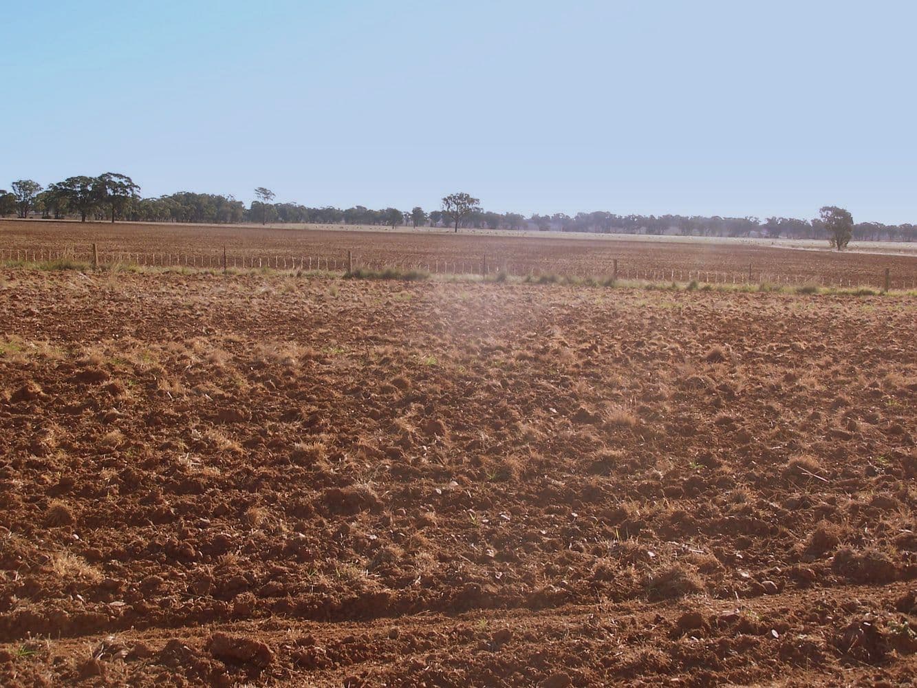 "Hyde Park" Morangarelll Road, TEMORA NSW 2666, Temora - Thumbnail 4