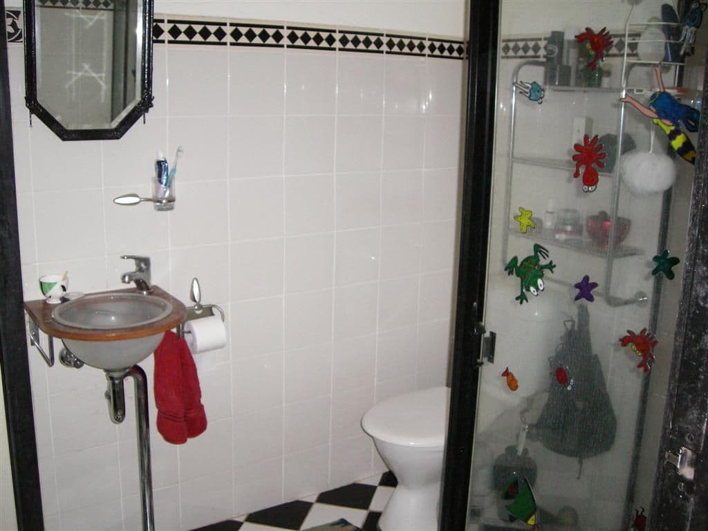 243 TRAFALGAR Street, STANMORE NSW 2048, Stanmore - Thumbnail 5