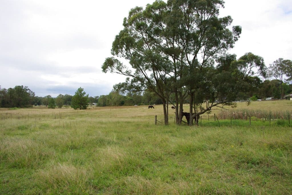 FREEMANS REACH NSW 2756, Freemans Reach - Thumbnail 6