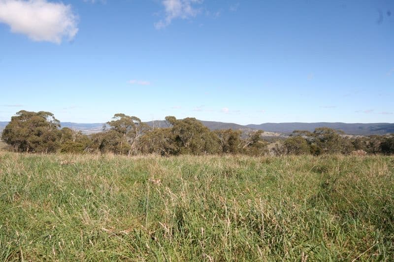 333 Curly Dick Road, MEADOW FLAT NSW 2795, Meadow Flat - Thumbnail 7