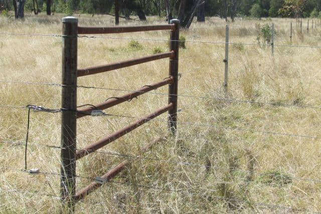 23 Willaroo Road, BOGGABILLA NSW 2409, Boggabilla - Thumbnail 7