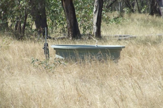 23 Willaroo Road, BOGGABILLA NSW 2409, Boggabilla - Thumbnail 8