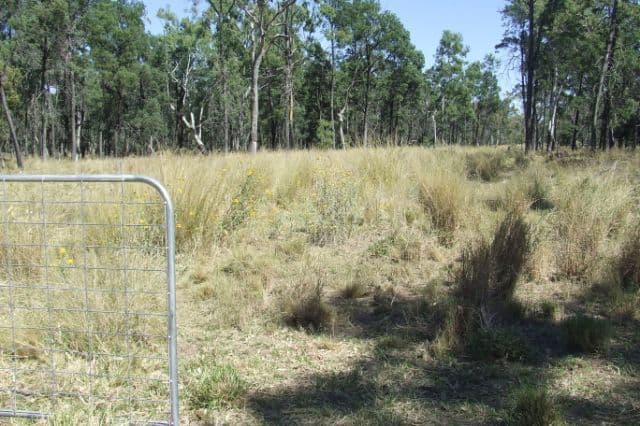 23 Willaroo Road, BOGGABILLA NSW 2409, Boggabilla - Thumbnail 2