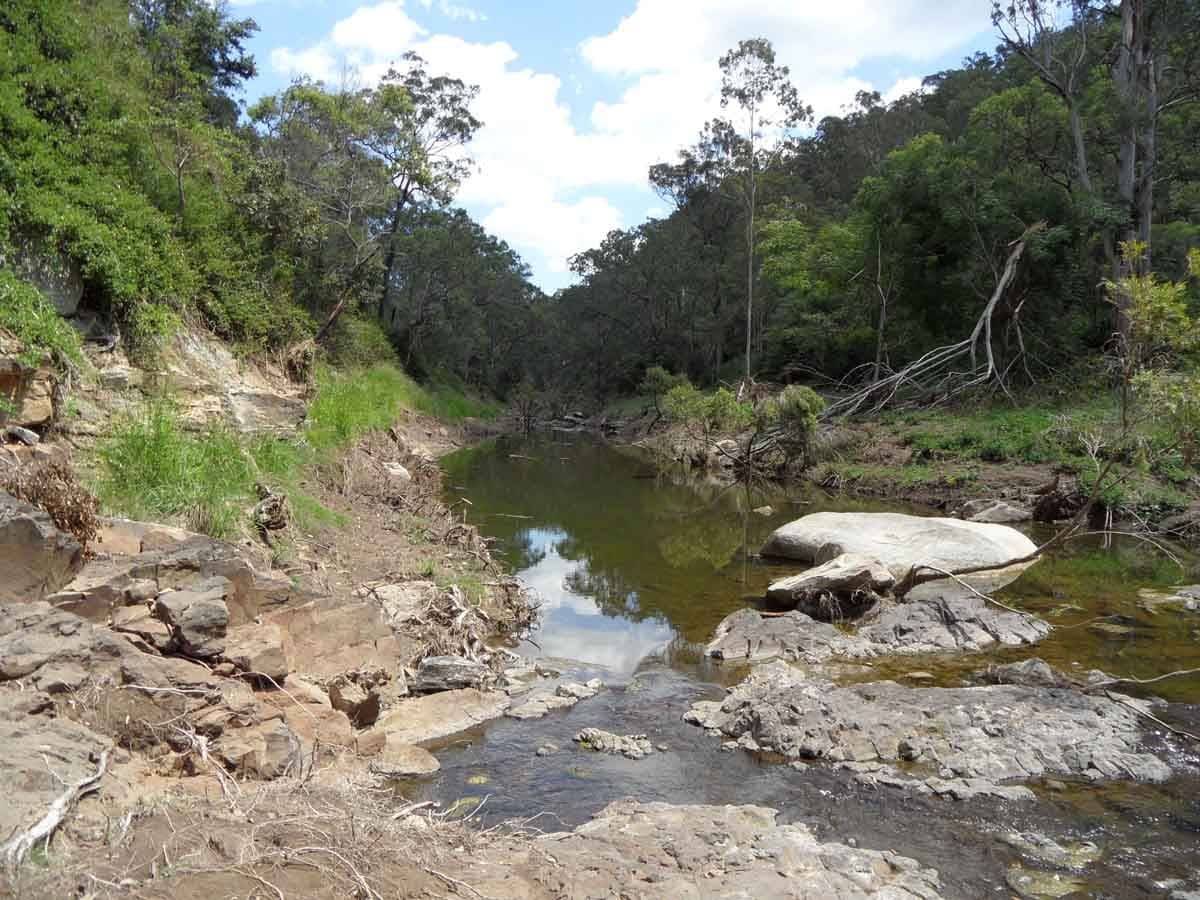 395 Sawpit Gully Road, ROCKMOUNT QLD 4344, Rockmount - Thumbnail 6
