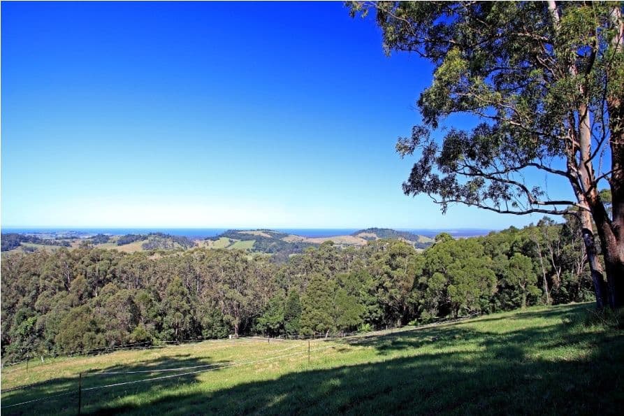 38 Ridge Lane, FOXGROUND NSW 2534, Foxground - Image 1