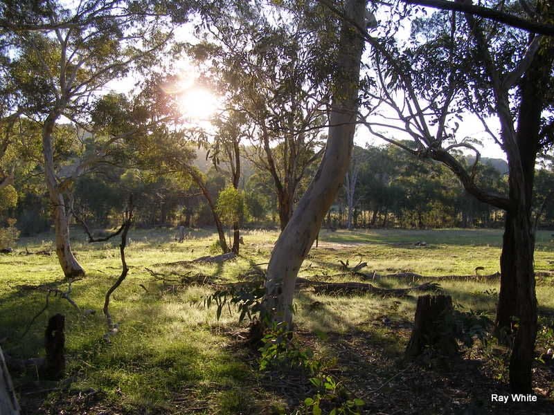 135 Manar Road, BRAIDWOOD NSW 2622, Braidwood - Thumbnail 6