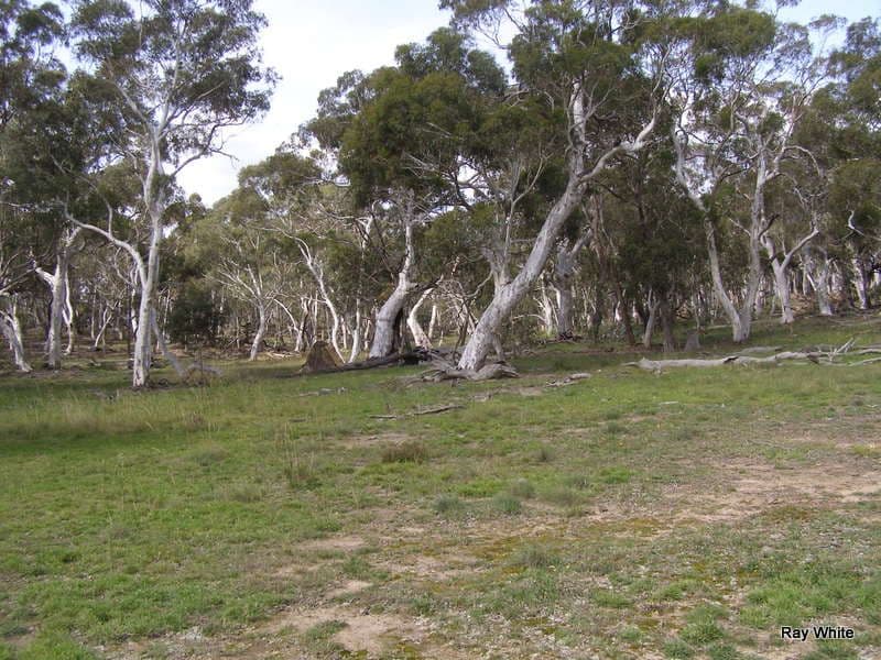 135 Manar Road, BRAIDWOOD NSW 2622, Braidwood - Thumbnail 8