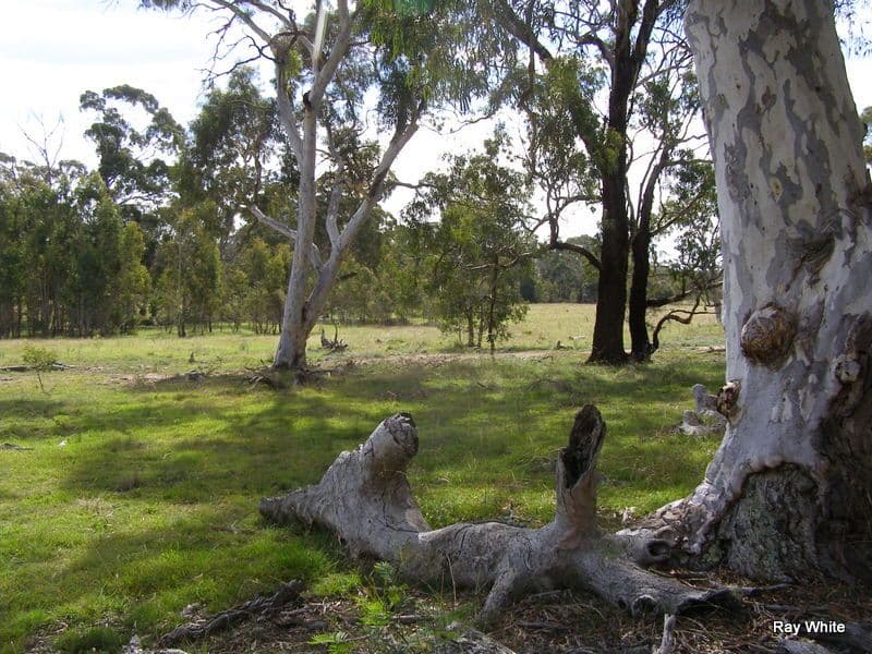 135 Manar Road, BRAIDWOOD NSW 2622, Braidwood - Image 1