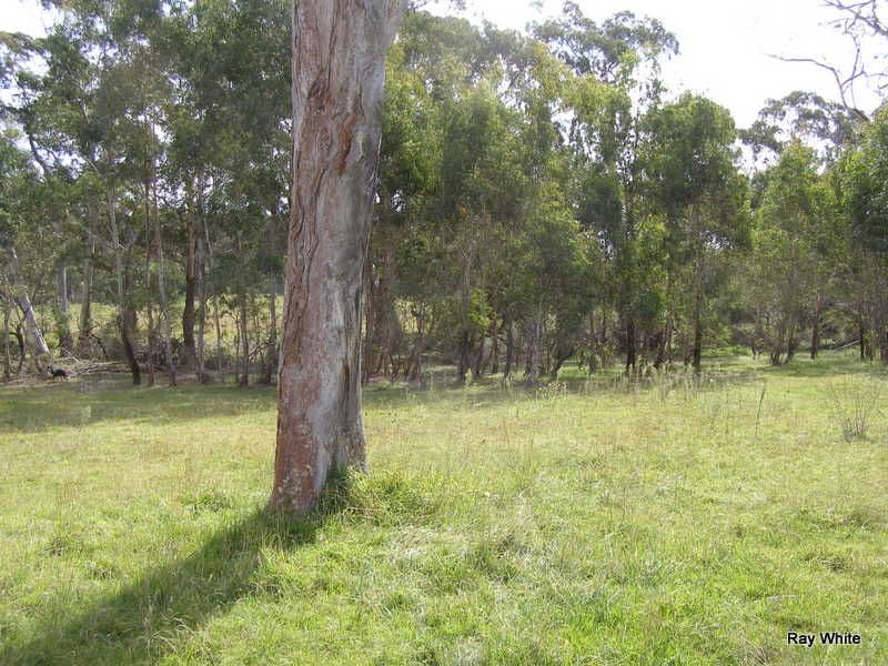 135 Manar Road, BRAIDWOOD NSW 2622, Braidwood - Thumbnail 7