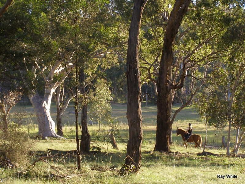 135 Manar Road, BRAIDWOOD NSW 2622, Braidwood - Thumbnail 2