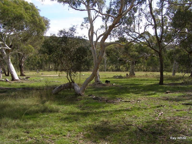 135 Manar Road, BRAIDWOOD NSW 2622, Braidwood - Thumbnail 3