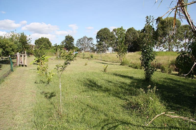 THEEBINE QLD 4570, Theebine - Thumbnail 6