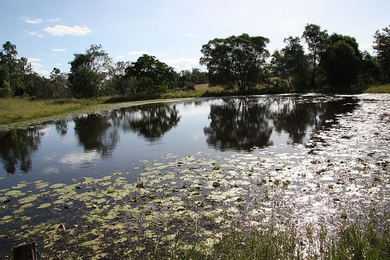 THEEBINE QLD 4570, Theebine - Thumbnail 2