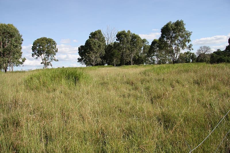 THEEBINE QLD 4570, Theebine - Thumbnail 8