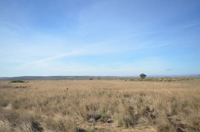 "The Block" via Burra, WORLDS END SA 5381, Worlds End - Image 1