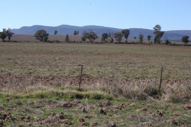 GRENFELL NSW 2810, Grenfell - Thumbnail 4