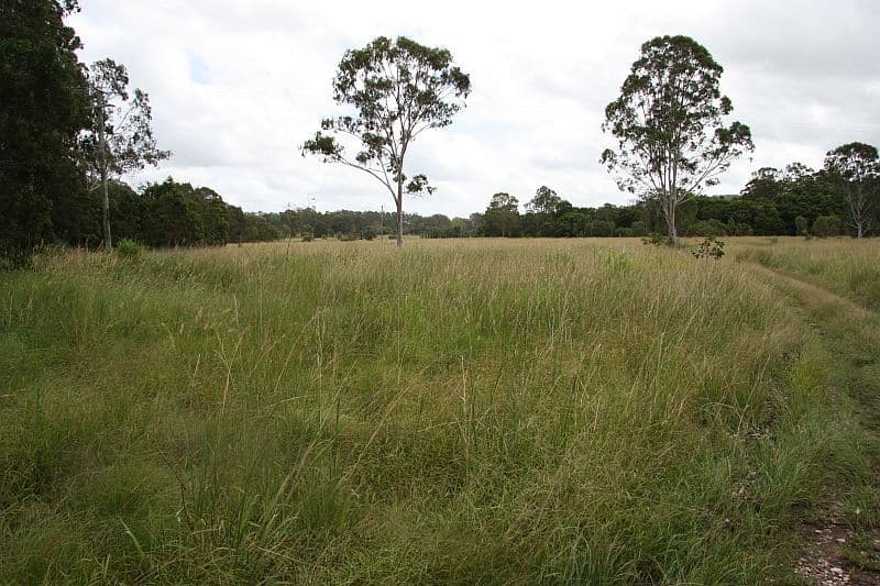 WOLVI QLD 4570, Wolvi - Thumbnail 4