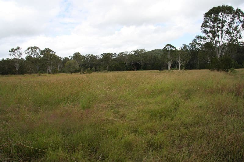 WOLVI QLD 4570, Wolvi - Thumbnail 7