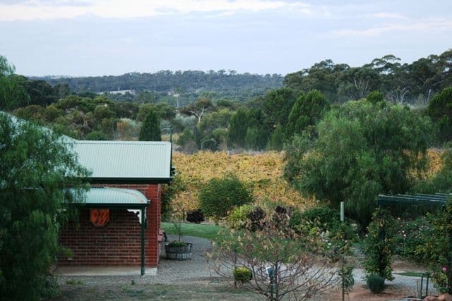 Lot 1 Hicks Road, CLARE SA 5453, Clare - Thumbnail 6