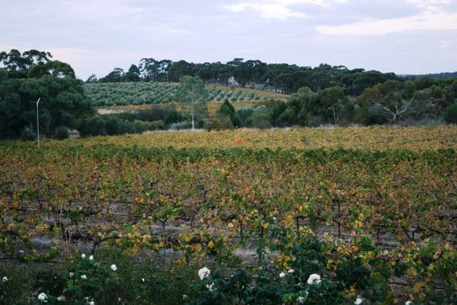 Lot 1 Hicks Road, CLARE SA 5453, Clare - Thumbnail 7
