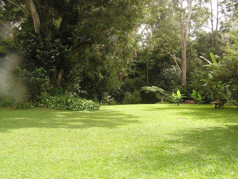 2725 Old Gympie Road, BEERWAH QLD 4519, Beerwah - Thumbnail 3