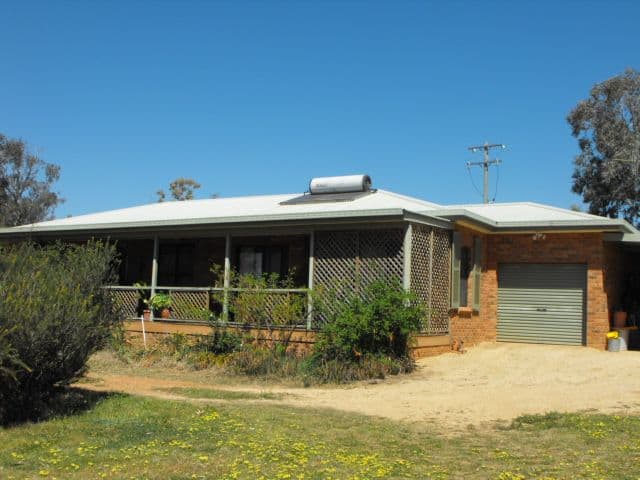Bills Hills 342 Ellis Road, FORBES NSW 2871, Forbes - Thumbnail 4