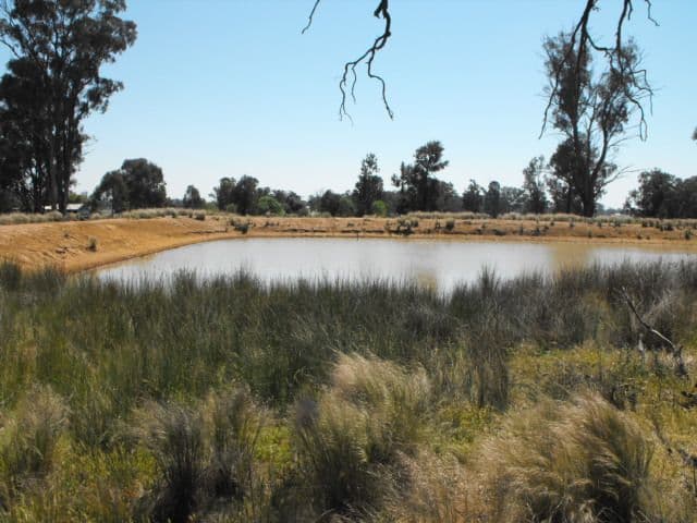 Bills Hills 342 Ellis Road, FORBES NSW 2871, Forbes - Thumbnail 3