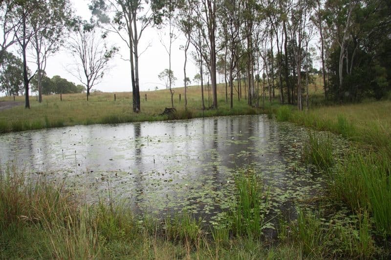 161 Jensen Road, LOWER WONGA QLD 4570, Lower Wonga - Thumbnail 4