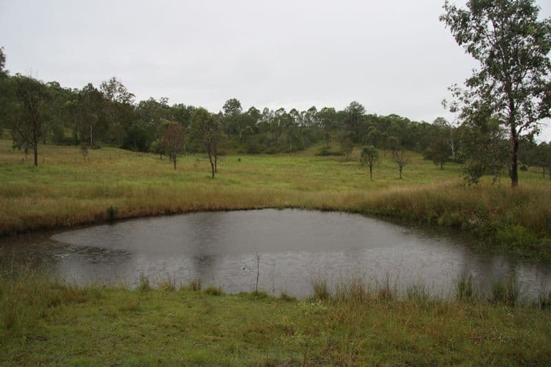 161 Jensen Road, LOWER WONGA QLD 4570, Lower Wonga - Thumbnail 2