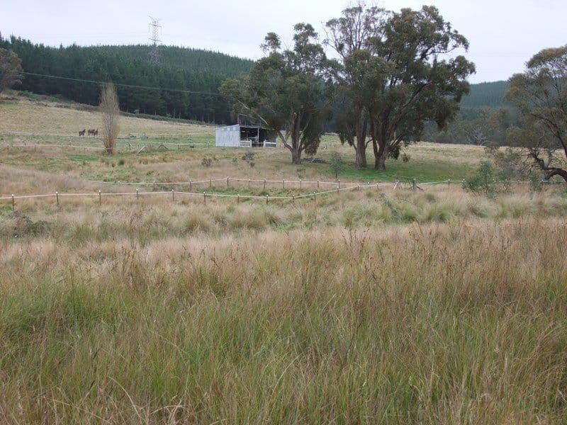 3040 Great western Highway, MEADOW FLAT NSW 2795, Meadow Flat - Thumbnail 4