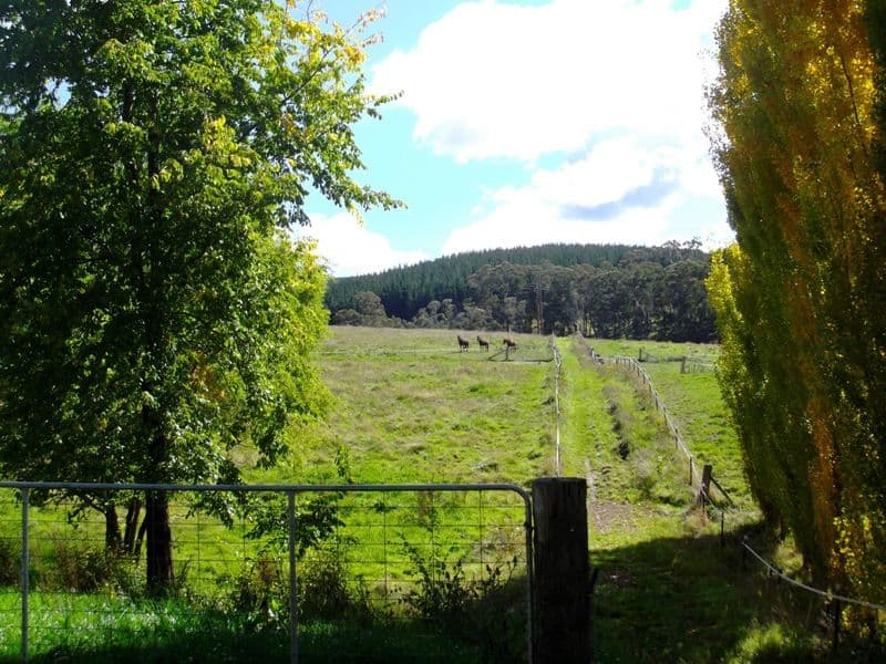 3040 Great western Highway, MEADOW FLAT NSW 2795, Meadow Flat - Thumbnail 7