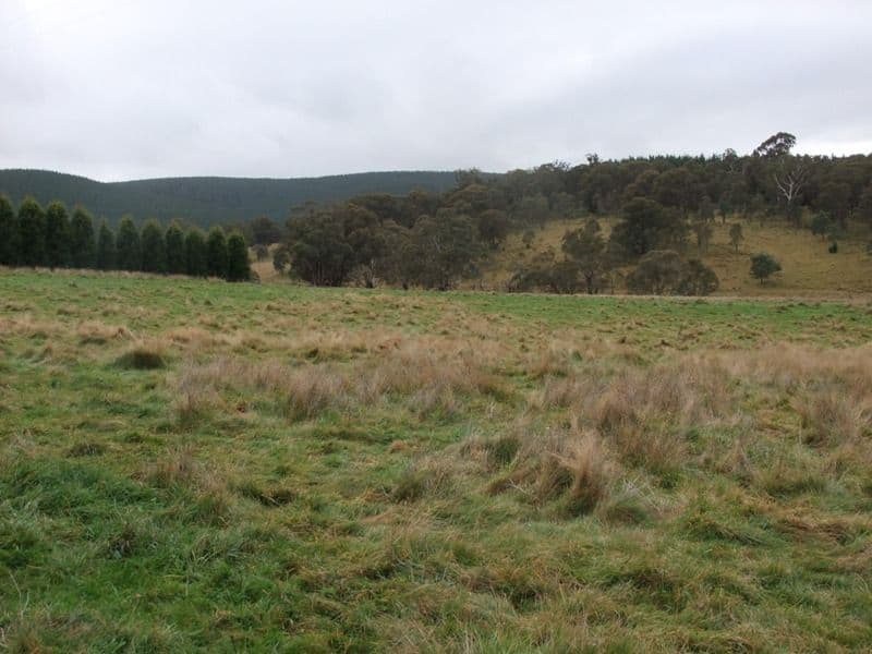 3040 Great western Highway, MEADOW FLAT NSW 2795, Meadow Flat - Thumbnail 6