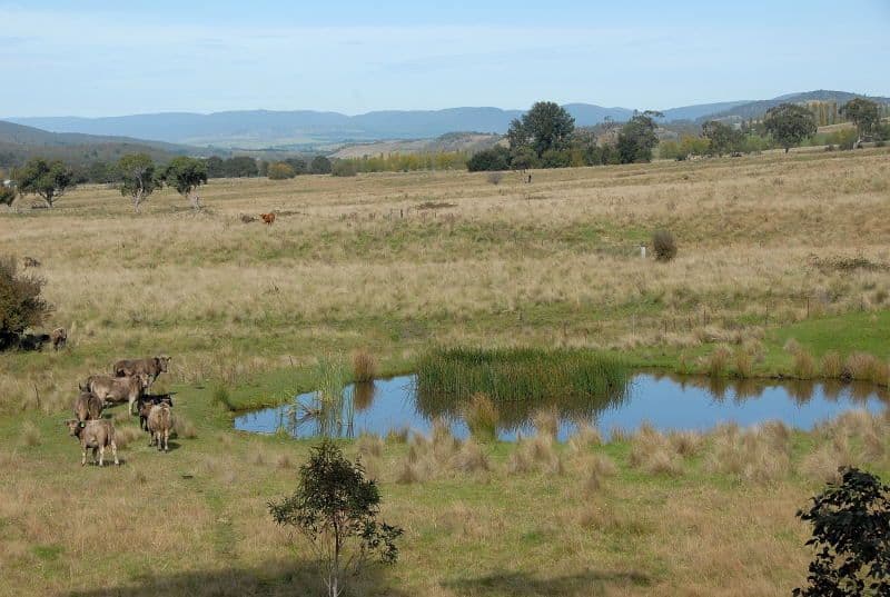 1002 Farringdon, BRAIDWOOD NSW 2622, Braidwood - Thumbnail 5
