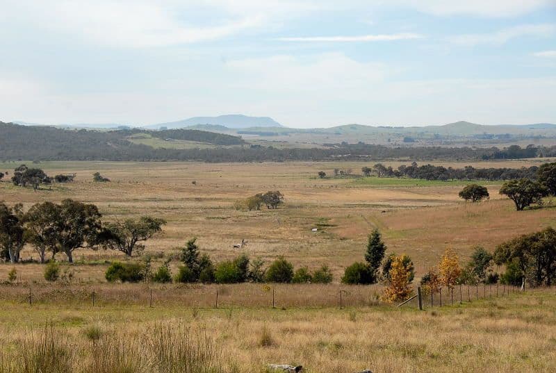 1002 Farringdon, BRAIDWOOD NSW 2622, Braidwood - Thumbnail 3
