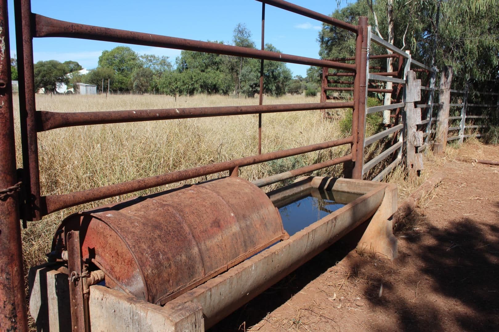 11508 Barwon Highway, GOONDIWINDI QLD 4390, Goondiwindi - Thumbnail 6