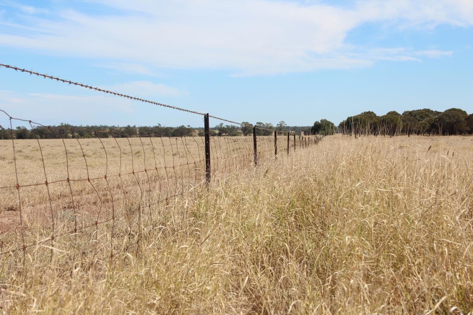 11508 Barwon Highway, GOONDIWINDI QLD 4390, Goondiwindi - Thumbnail 4