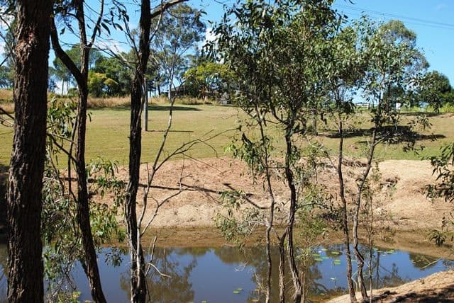 31 Rammutt Road, CHATSWORTH QLD 4570, Chatsworth - Thumbnail 5