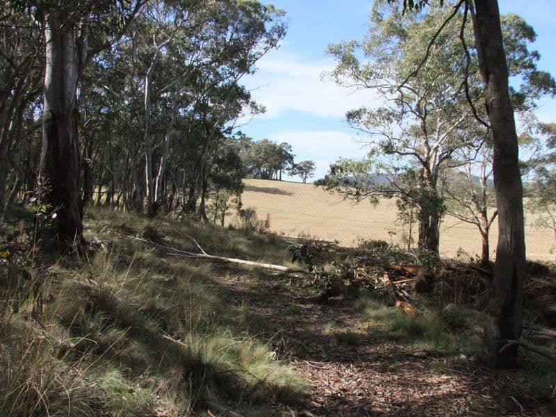809 Dark Corner Road, BATHURST NSW 2795, Bathurst - Thumbnail 7