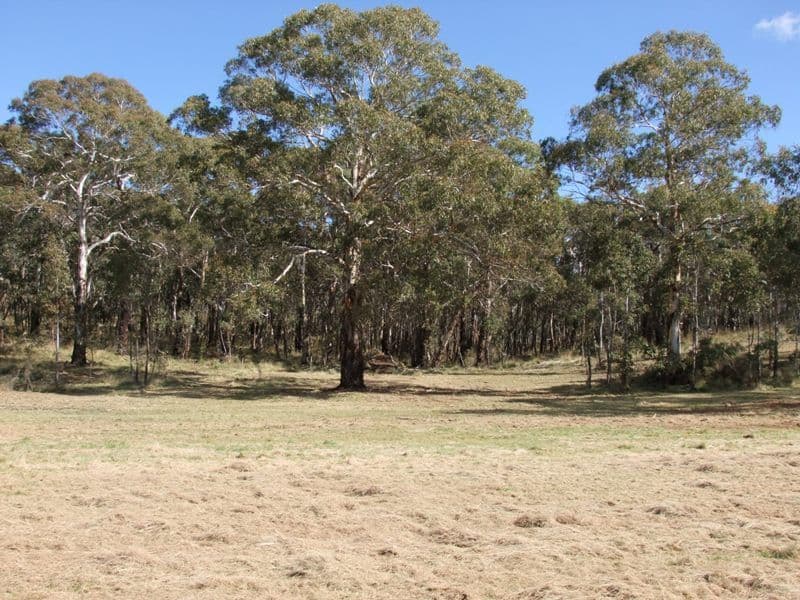809 Dark Corner Road, BATHURST NSW 2795, Bathurst - Thumbnail 5