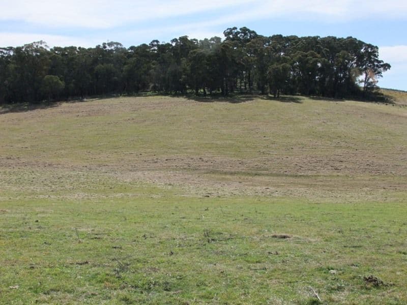 809 Dark Corner Road, BATHURST NSW 2795, Bathurst - Thumbnail 3