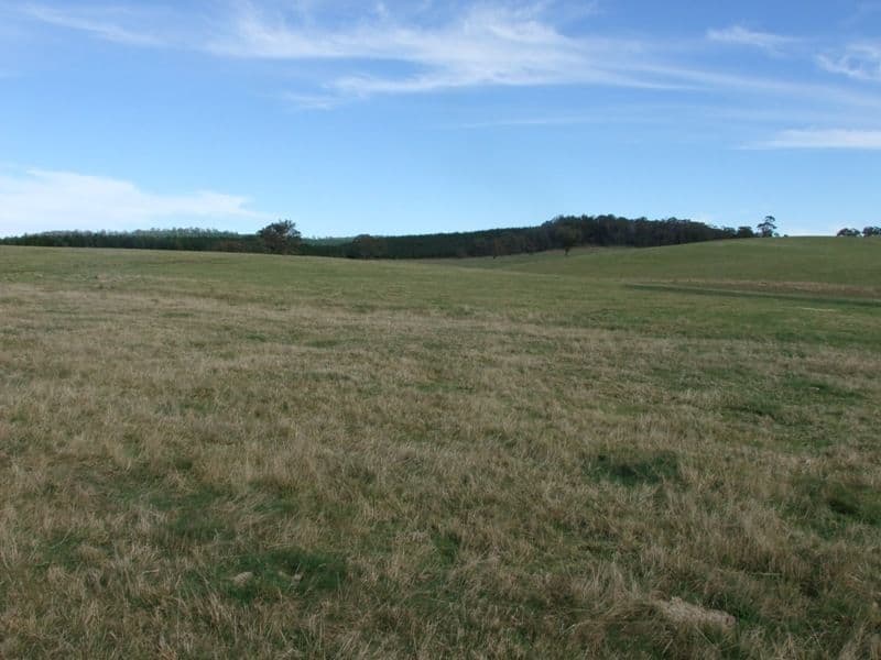 809 Dark Corner Road, BATHURST NSW 2795, Bathurst - Thumbnail 6