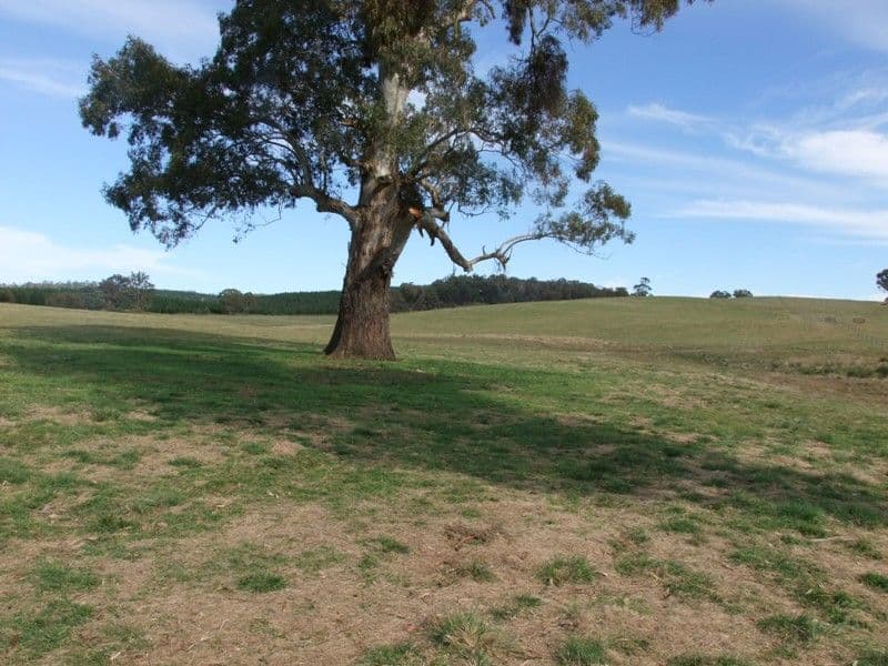 809 Dark Corner Road, BATHURST NSW 2795, Bathurst - Thumbnail 4