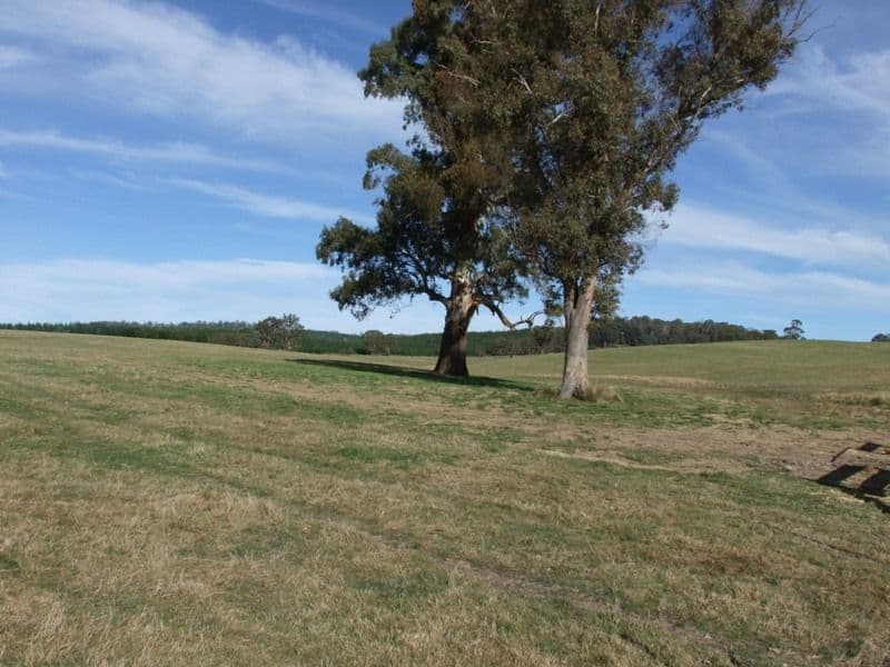 809 Dark Corner Road, BATHURST NSW 2795, Bathurst - Image 1
