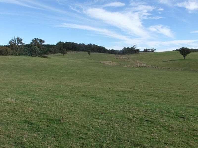 809 Dark Corner Road, BATHURST NSW 2795, Bathurst - Thumbnail 7